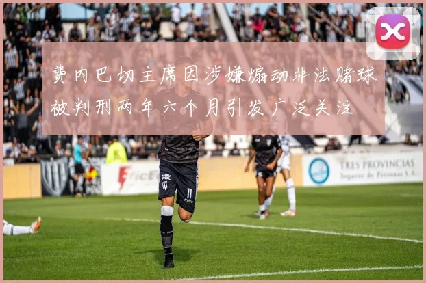 费内巴切主席因涉嫌煽动非法赌球被判刑两年六个月引发广泛关注