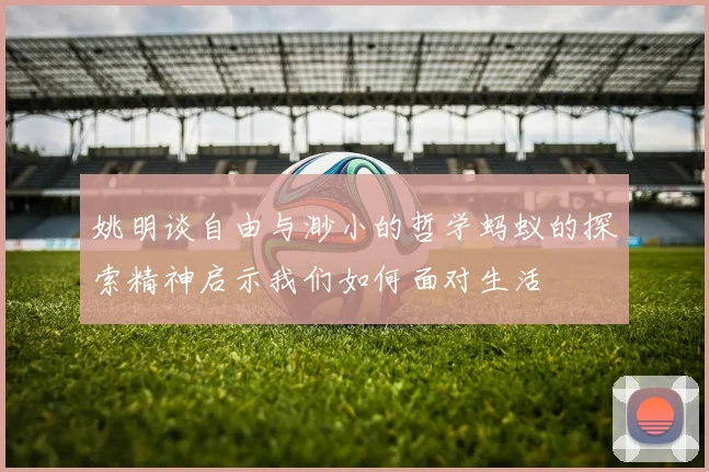 姚明谈自由与渺小的哲学蚂蚁的探索精神启示我们如何面对生活