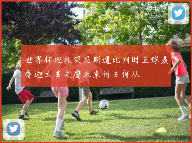 世界杯巡礼突尼斯遭比利时五球羞辱迦太基之鹰未来何去何从